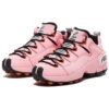 Baskets Trailblazer « Pink »