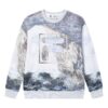 Collection HERITAGE, thème THE GREAT MATISSE, sweat-shirt avec logo F-Box « White Multi-Color »