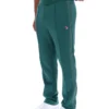 Pantalon de jogging droit Tavis à coutures contrastées Rain Forest