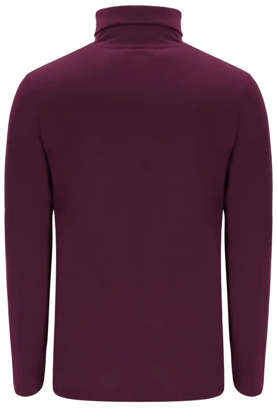 Pull à col roulé classique Fig 19th