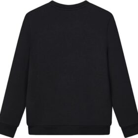 Pull à petit logo graphique « Black »