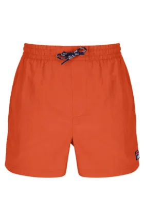 Shorts de bain Tiger Lily Artoni